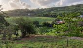 Tour Wandern Le Lorrain - Boucle Seguineau 22 Mai - Photo 2