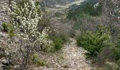 Percorso Sentiero Malaucène - Reco début et fin de parcours Raid Ventoux(31K 1250D+) - Photo 13
