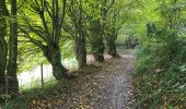 Trail Walking Namur - Malonne 151024 - Photo 9