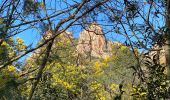 Tour Wandern Le Muy - Les trois croix  Roquebrune - Photo 2