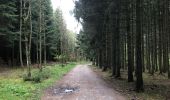 Tocht Stappen Stavelot - Stavelot et les crêtes de l’Amblève - Photo 20