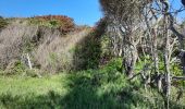 Tocht Stappen Sainte-Anne - Quartier ferré vers Cap Chevalier avec modification du parcours en cas de problème à Anse aux bois !  - Photo 6