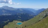 Tocht Stappen Verchaix - col du jour plane . la bourgeoise . pointe d angolon  . nyon du crot . col de joux  plane  - Photo 7