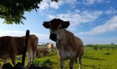 Tocht Stappen Nasbinals - live Nasbinals - Saint Chély  - Photo 1