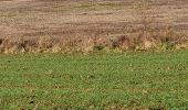 Tocht Stappen Monferran-Savès - ses les terres de Monferran Saves et plus - Photo 13