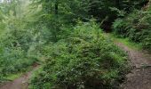 Trail Walking Bouillon - Corbion - Promenade des 3 légendes (version longue)  - Photo 19
