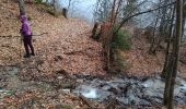 Tocht Stappen Les Deux Alpes - Le Garcin- Le Ponteil- Bons- La porte Romaine - Photo 6