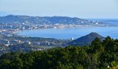 Tour Wandern Mandelieu-la-Napoule - Mandelieu - Chapelle St Jean - Baisse Violette - Suvières - Marsaou - Col des 3 Termes - Oeufs de Bouc - Photo 11