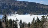 Randonnée Marche La Bresse - col de bramont - Photo 3