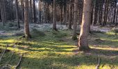 Trail Walking Spa - tour des 10 sources  - Photo 20
