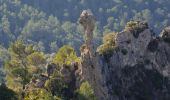 Tour Wandern La Roquebrussanne - 10844300-chapelle st andre ,grotte 400 moutons source oris - Photo 5