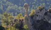 Trail Walking La Roquebrussanne - 10844300-chapelle st andre ,grotte 400 moutons source oris - Photo 5