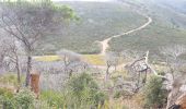 Tocht Trail La Croix-Valmer - Gigaro. Le sémaphore, la vigie. - Photo 2