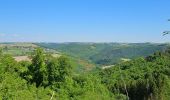 Tour Wandern Goesdorf - Goebelsmühle - Bourscheid - Dirbach - Photo 6
