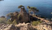 Trail Walking La Londe-les-Maures - Plage de l'Argentière à Cabasson en A/R-14-01-22 - Photo 10