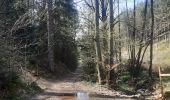 Randonnée Marche Theux - neufmarteau . trou colas . royonpré . neufmarteau  - Photo 11