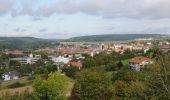 Excursión A pie Buchen (Odenwald) - Rundwanderweg Buchen 7: Wartberg-Werg - Photo 6