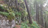 Tour Wandern Bellefontaine - Des lacs de Bellefontaine vers le belvédère de la roche Bernard. - Photo 1