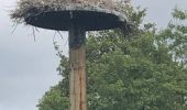 Percorso Marcia Dax - Adour amont - Photo 2