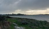 Randonnée Marche Vannes - PR_56_Vannes_AA_01_Pointe-De-Rosvelec_Circuit4a_20230115 - Photo 2