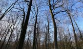 Trail Walking Holsbeek - Autour de Roeselberg sur le GR 512 - Photo 1