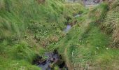 Percorso Marcia West Cork - toe head and cliffs - Photo 1