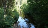 Trail On foot Eupen - Rund um den See - Photo 2