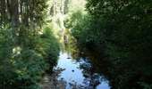 Percorso A piedi Eupen - Rund um den See - Photo 9