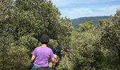 Trail Horseback riding Lauris - Provence 2025 J1 - Photo 8