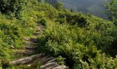 Percorso A piedi Trontano - P30 - Alpe in La Piana - Alpe Scaredi - Photo 4