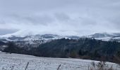 Tour Wandern Murol - Tours de Murol  - Photo 11