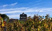 Randonnée Marche Faugères - Autour de Faugères  - Photo 12