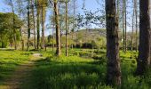 Tour Wandern Igny - Vauboyen depuis Igny et la forêt de Verrieres - Photo 3