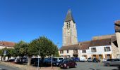 Tocht Stappen Saint-Arnoult-en-Yvelines - St Arnault - Sonchamp - Photo 3