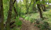 Trail Walking Châtel-Guyon - VALLEE DE SANS SOUCI - CHATEAU DE CHAZERON - Photo 3
