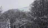 Trail Walking Lepuix - Rando raquettes Ballon d'Alsace depuis Saut de la Truite  - Photo 11