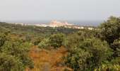 Trail Walking Monticello - boucle d'arbo - Photo 16