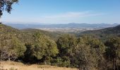 Percorso Marcia Roquebrune-sur-Argens - ROQUEBRUNE SUR ARGENS - A L'OUEST DE LA FLUTE - Photo 1