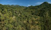 Tour Zu Fuß Montesquiu - Castell de Montesqiu-Coll dels Tres Pins - Photo 3