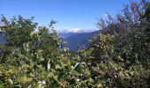 Trail Walking Annecy - Belvédère mont Baron - Photo 10