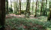Tour Wandern Plaintel - Au bois des Mauriers. N 2 - Photo 3
