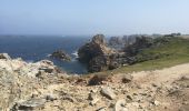 Randonnée Marche Ouessant - Lampaul - tour nord d'Ouessant - Photo 13