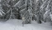 Trail Snowshoes Le Hohwald - rptlch - Photo 2