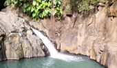 Randonnée Marche Pointe-Noire - Guadeloupe - Saut de l'Acomat - Photo 1