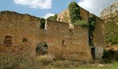 Excursión A pie la Morera de Montsant - Itinerari al voltant de la Cartoixa - Photo 6