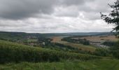 Tour Wandern La Ferté-sous-Jouarre - GR15-09 La Ferté-sous-Jouarre à Saâcy-sur-Marne - Photo 2