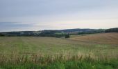 Tour Wandern Sainte-Ode - Beauplateau Ste Ode 240823 - Photo 7