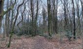 Trail Walking Liège - quintufyon rando 3 Landes de Streupas - Photo 10