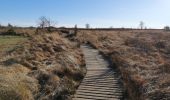 Trail Walking Spa - Arboretum et boucle dans Berinzenne - Photo 11