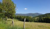 Randonnée Marche Villé - Le massif de la Honel - Photo 1